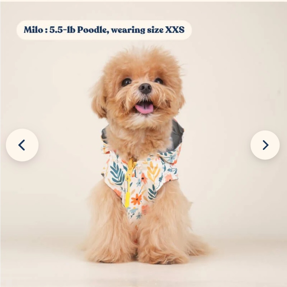 🌼 {FINAL SALE} Sniff & Bark Yellow Floral Reversible Zoomies Rain Vest™ - Picture 2 of 12